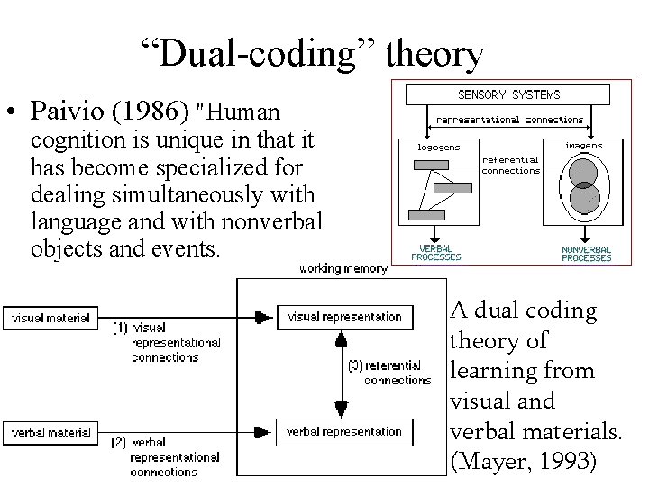 “Dual-coding” theory • Paivio (1986) "Human cognition is unique in that it has become