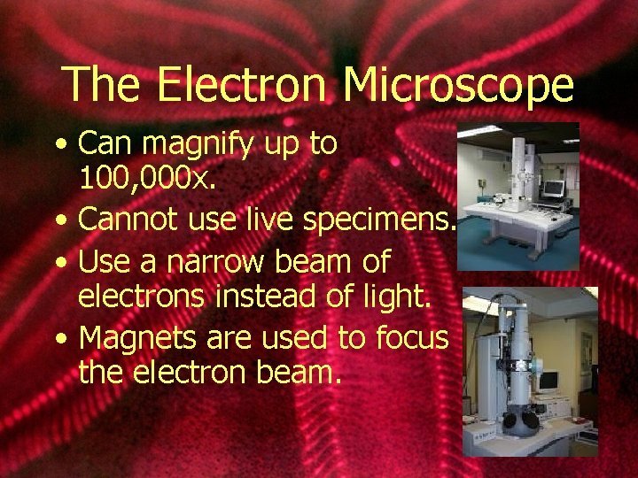 The Electron Microscope • Can magnify up to 100, 000 x. • Cannot use