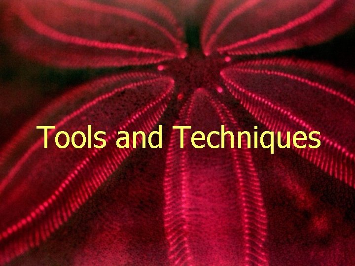 Tools and Techniques 