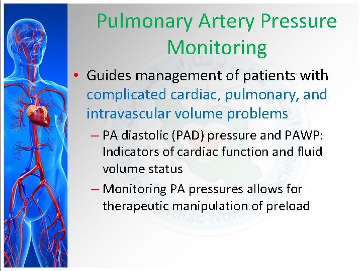 Pulmonary Artery Pressure Monitoring • Guides management of patients with complicated cardiac, pulmonary, and