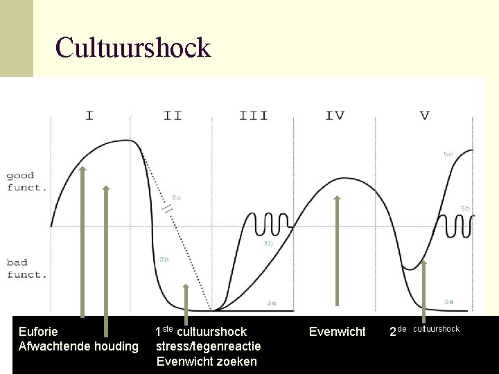 Cultuurshock Euforie Afwachtende houding 1 ste cultuurshock stress/tegenreactie Evenwicht zoeken Evenwicht 2 de cultuurshock Cultuurshock Euforie Afwachtende houding 1 ste cultuurshock stress/tegenreactie Evenwicht zoeken Evenwicht 2 de cultuurshock