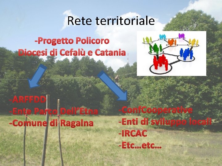 Rete territoriale -Progetto Policoro Diocesi di Cefalù e Catania -ARFFDD -Ente Parco Dell’Etna -Comune