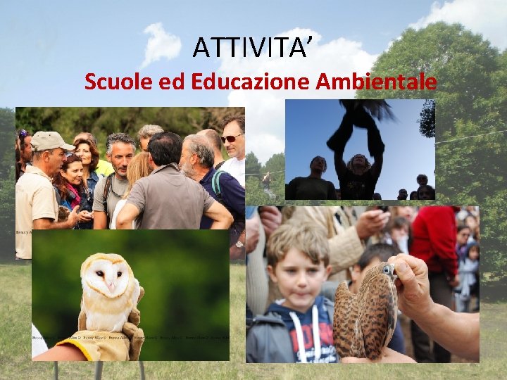 ATTIVITA’ Scuole ed Educazione Ambientale 