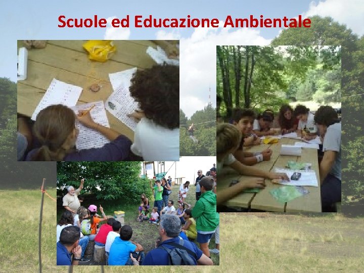 Scuole ed Educazione Ambientale 