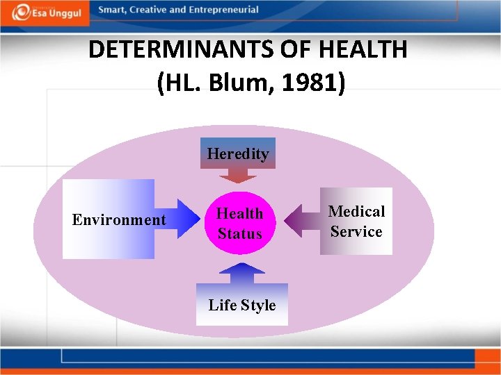 DETERMINANTS OF HEALTH (HL. Blum, 1981) Heredity Environment Health Status Life Style Medical Service
