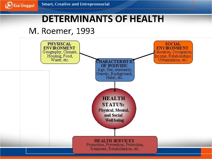 DETERMINANTS OF HEALTH M. Roemer, 1993 PHYSISCAL ENVIRONMENT: Geography, Climate, Housing, Food, Water, etc.