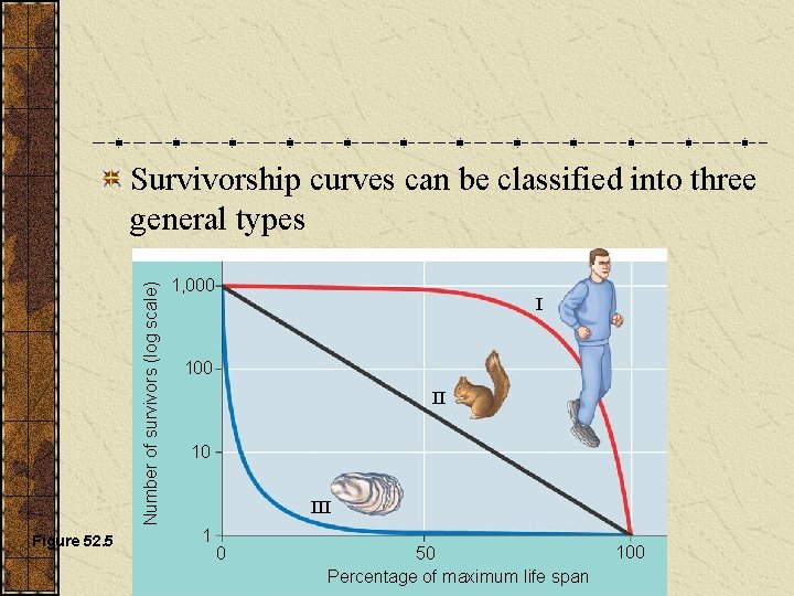 Survivorship curves can be classified into three general types Number of survivors (log scale)
