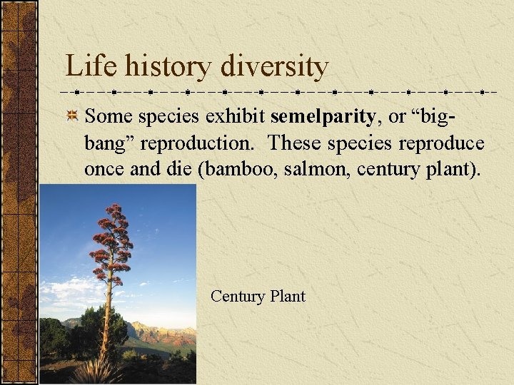 Life history diversity Some species exhibit semelparity, or “bigbang” reproduction. These species reproduce once