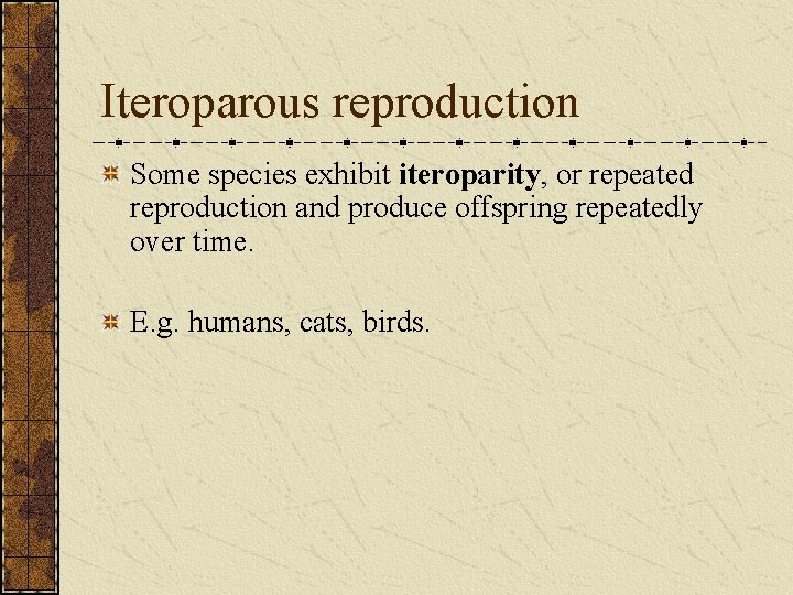 Iteroparous reproduction Some species exhibit iteroparity, or repeated reproduction and produce offspring repeatedly over