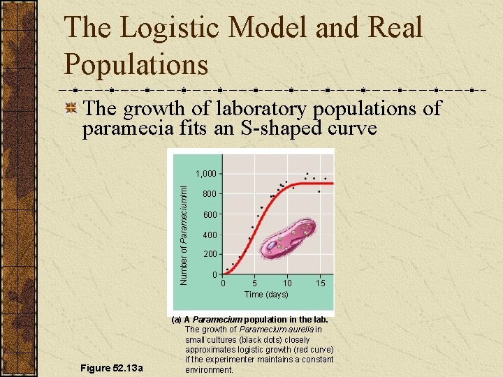 The Logistic Model and Real Populations The growth of laboratory populations of paramecia fits