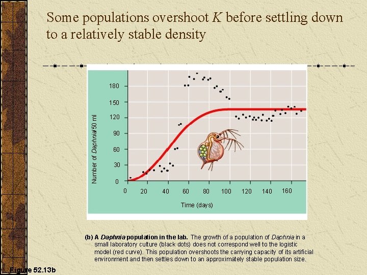 Some populations overshoot K before settling down to a relatively stable density 180 Number