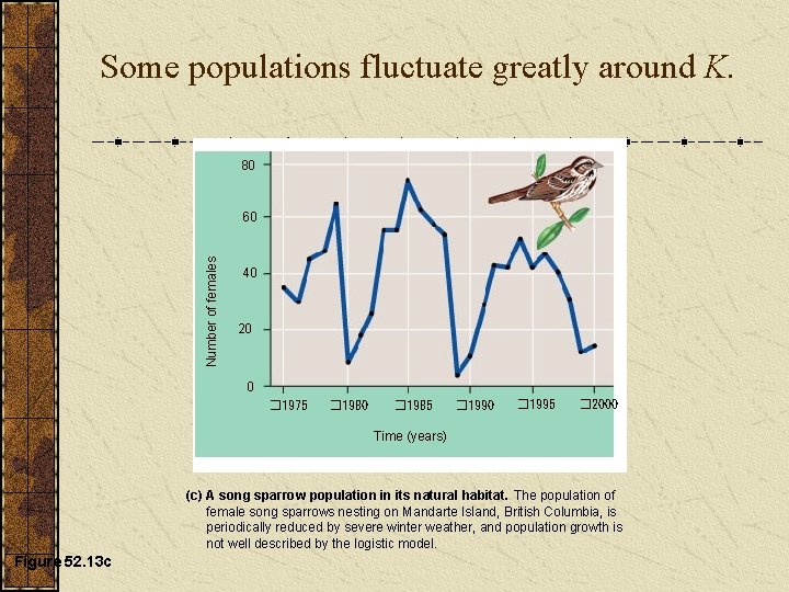 Some populations fluctuate greatly around K. 80 Number of females 60 40 20 0