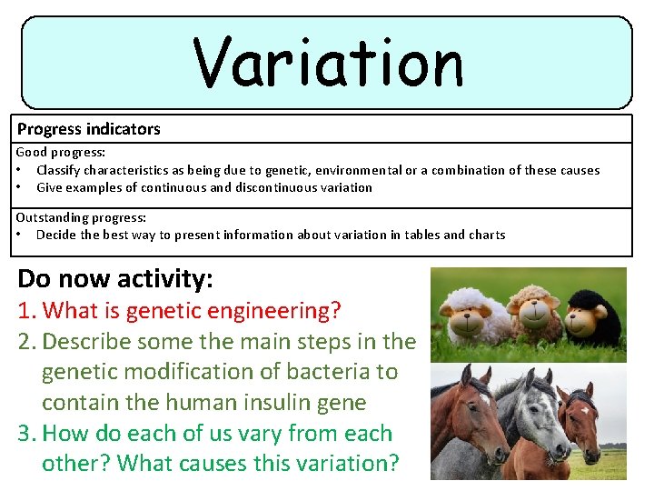 Variation Progress indicators Good progress: • Classify characteristics as being due to genetic, environmental