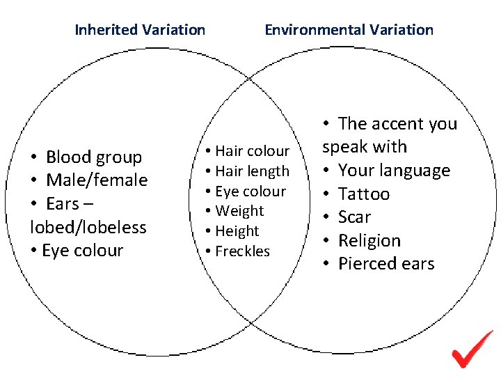 Inherited Variation • Blood group • Male/female • Ears – lobed/lobeless • Eye colour