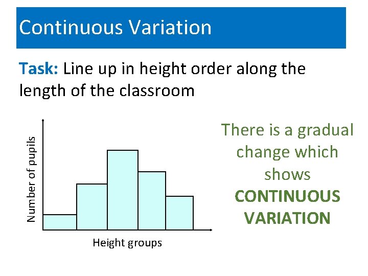Continuous Variation Task: Line up in height order along the length of the classroom
