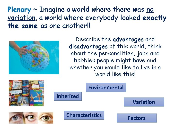 Plenary ~ Imagine a world where there was no variation, a world where everybody