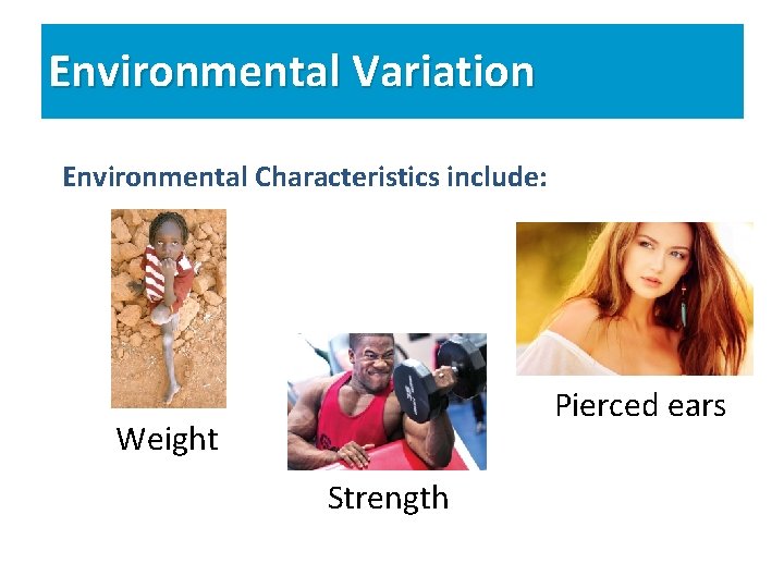 Environmental Variation Environmental Characteristics include: Pierced ears Weight Strength 