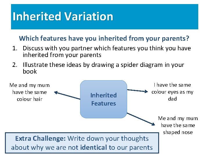 Inherited Variation Which features have you inherited from your parents? 1. Discuss with you