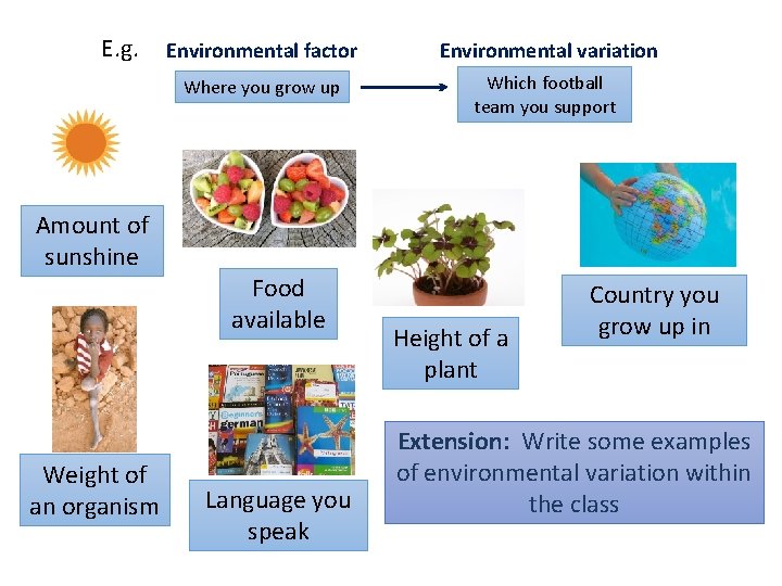 E. g. Amount of sunshine Weight of an organism Environmental factor Environmental variation Where