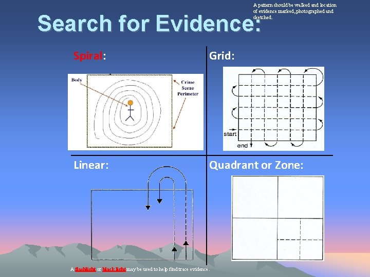 A pattern should be walked and location of evidence marked, photographed and sketched. Search