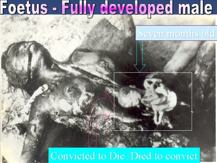 Seven months old Convicted to Die /Died to convict 