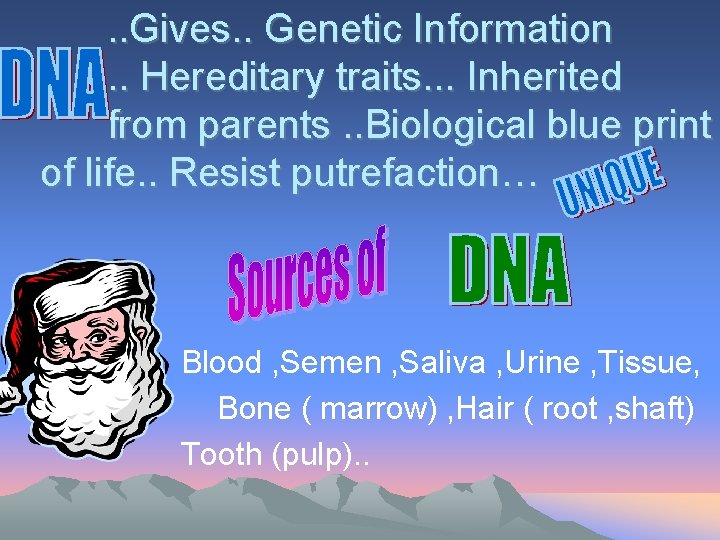 . . Gives. . Genetic Information. . Hereditary traits. . . Inherited from parents.