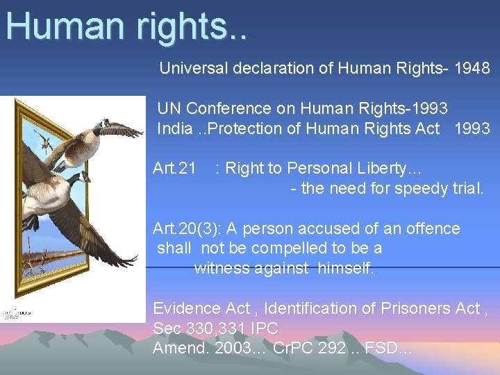 Human rights. . Universal declaration of Human Rights- 1948 UN Conference on Human Rights-1993