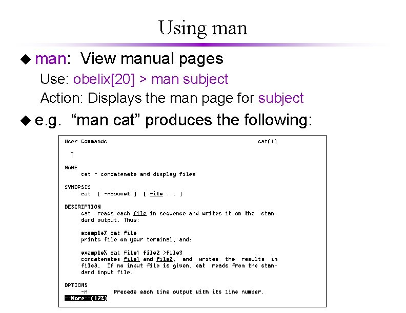 Using man u man: View manual pages Use: obelix[20] > man subject Action: Displays