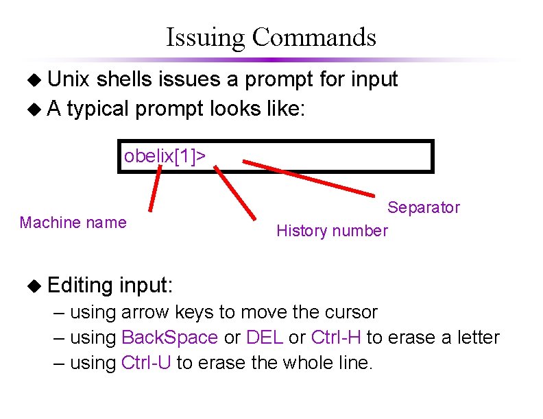 Issuing Commands u Unix shells issues a prompt for input u A typical prompt