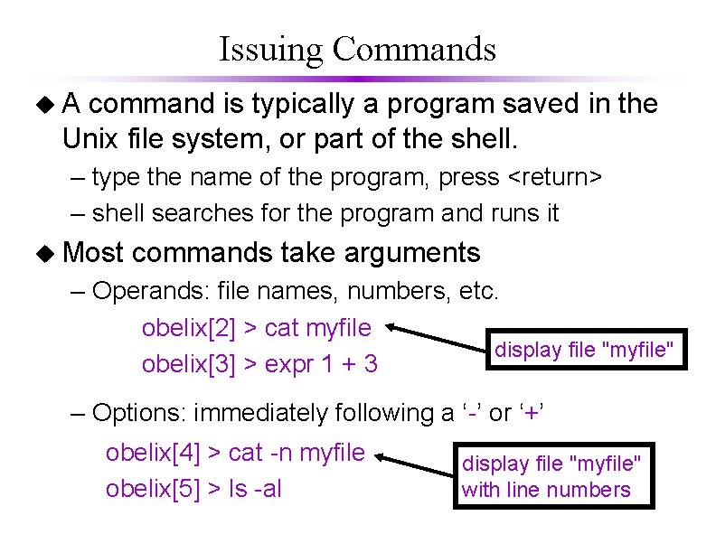 Issuing Commands u. A command is typically a program saved in the Unix file