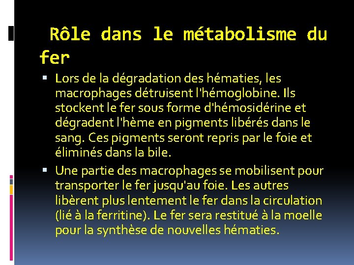 Rôle dans le métabolisme du fer Lors de la dégradation des hématies, les macrophages