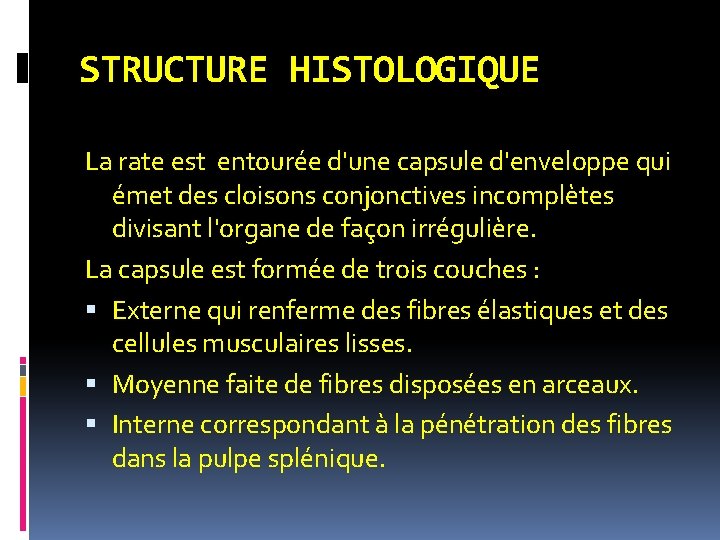 STRUCTURE HISTOLOGIQUE La rate est entourée d'une capsule d'enveloppe qui émet des cloisons conjonctives