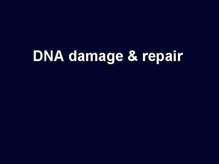 DNA damage & repair 