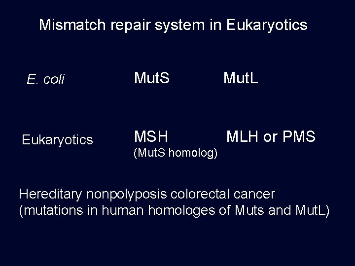 Mismatch repair system in Eukaryotics E. coli Eukaryotics Mut. S Mut. L MSH MLH