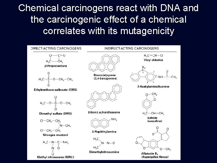 Chemical carcinogens react with DNA and the carcinogenic effect of a chemical correlates with