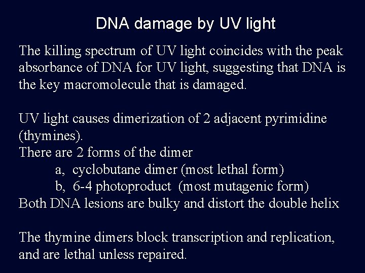 DNA damage by UV light The killing spectrum of UV light coincides with the