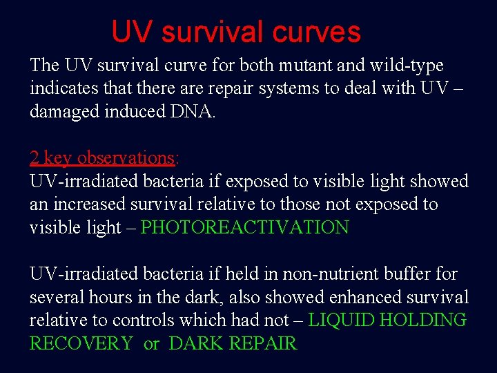 UV survival curves The UV survival curve for both mutant and wild-type indicates that