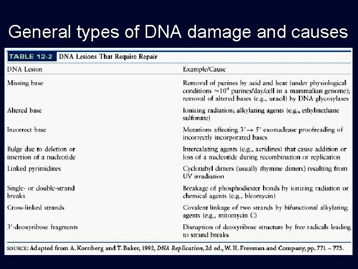 General types of DNA damage and causes 