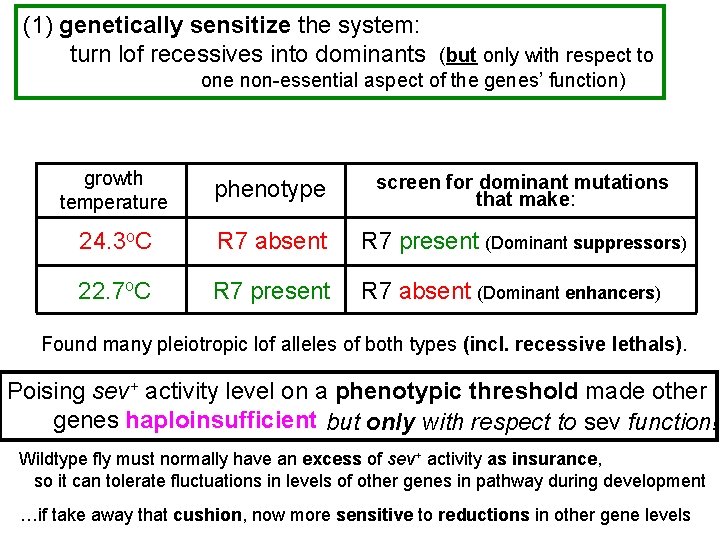 (1) genetically sensitize the system: turn lof recessives into dominants (but only with respect