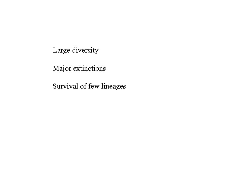 Large diversity Major extinctions Survival of few lineages 