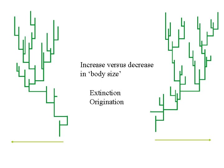 Increase versus decrease in ‘body size’ Extinction Origination 
