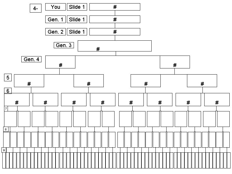 4 - You Slide 1 # Gen. 1 Slide 1 # Gen. 2 Slide