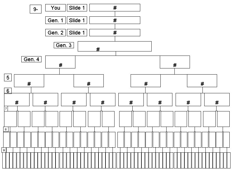 9 - You Slide 1 # Gen. 1 Slide 1 # Gen. 2 Slide