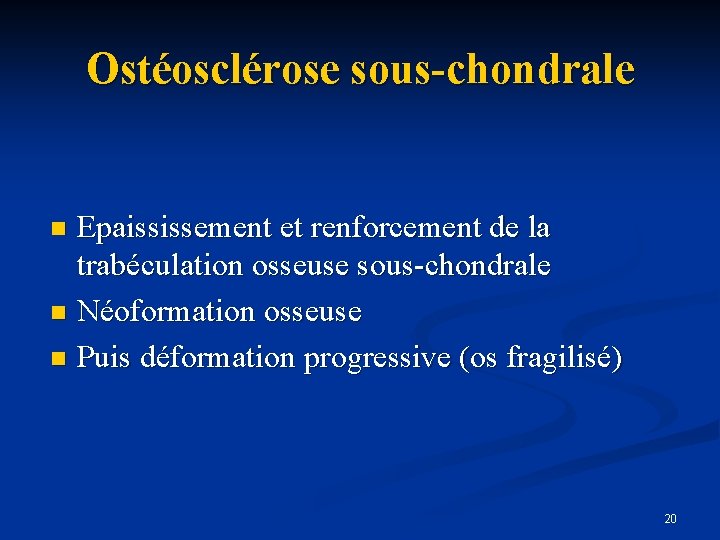 Ostéosclérose sous-chondrale Epaississement et renforcement de la trabéculation osseuse sous-chondrale n Néoformation osseuse n