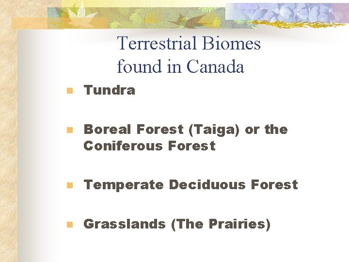 Terrestrial Biomes found in Canada n n Tundra Boreal Forest (Taiga) or the Coniferous Terrestrial Biomes found in Canada n n Tundra Boreal Forest (Taiga) or the Coniferous