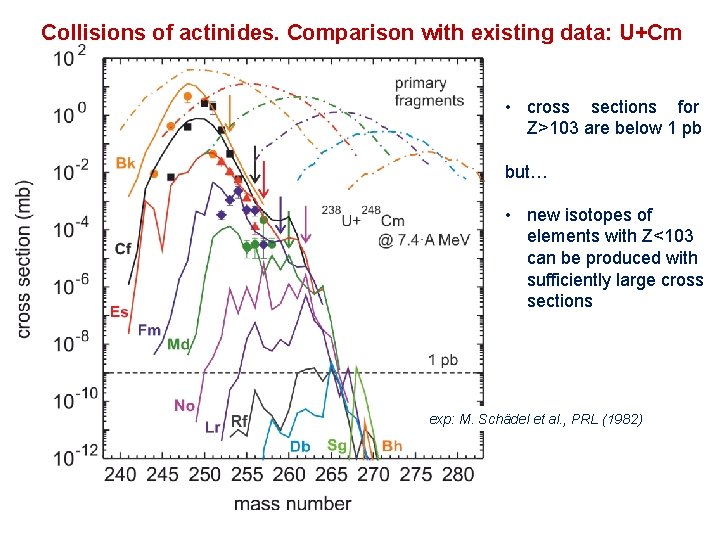 Collisions of actinides. Comparison with existing data: U+Cm • cross sections for Z>103 are