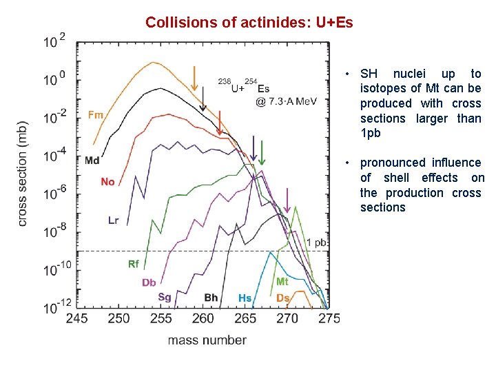 Collisions of actinides: U+Es • SH nuclei up to isotopes of Mt can be