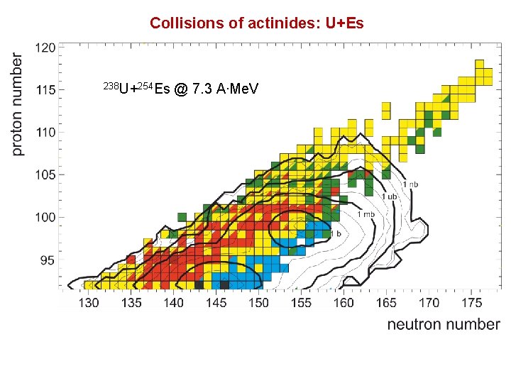 Collisions of actinides: U+Es 238 U+254 Es @ 7. 3 A∙Me. V 