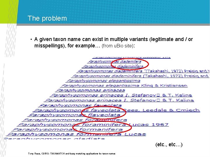 The problem • A given taxon name can exist in multiple variants (legitimate and The problem • A given taxon name can exist in multiple variants (legitimate and