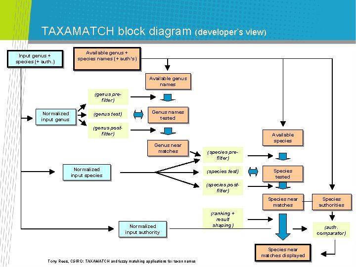 TAXAMATCH block diagram (developer’s view) Input genus + species (+ auth. ) Available genus TAXAMATCH block diagram (developer’s view) Input genus + species (+ auth. ) Available genus